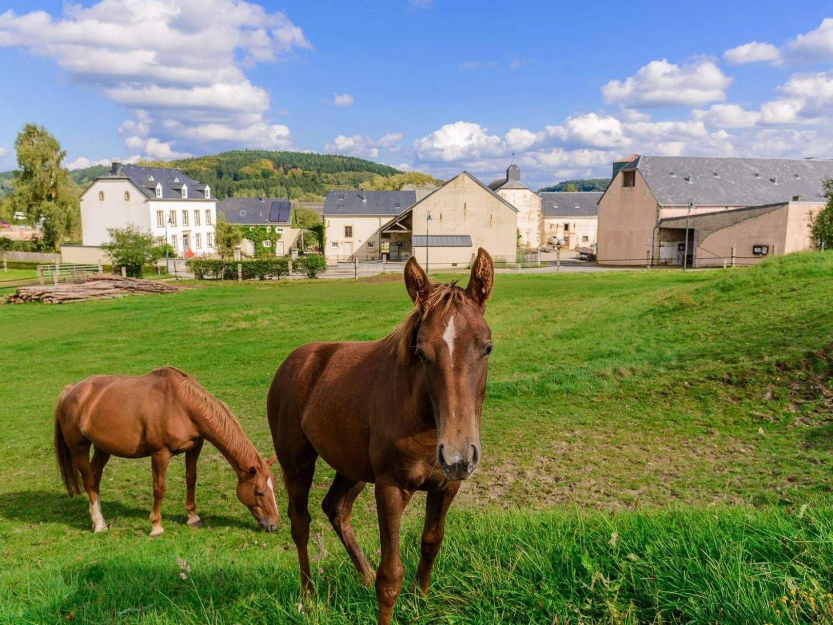 Cottage House Weyer - Mare&Filly Room Exteriér fotografie